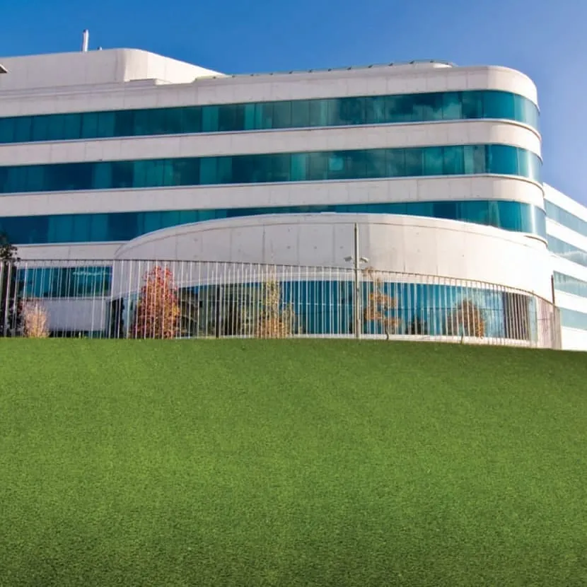 Grama Sintética Country Club
