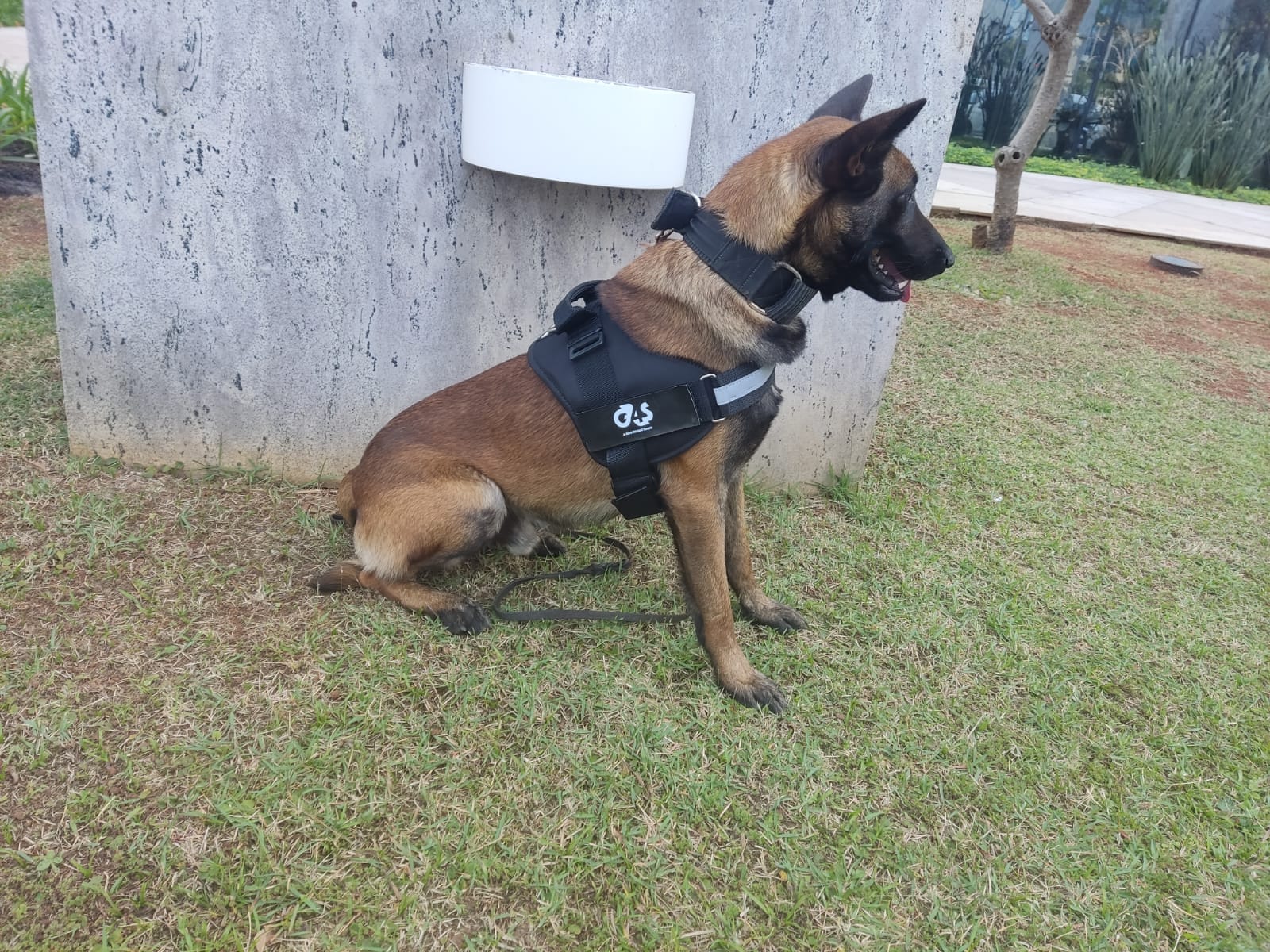 Exercício de Agilidade & Coragem