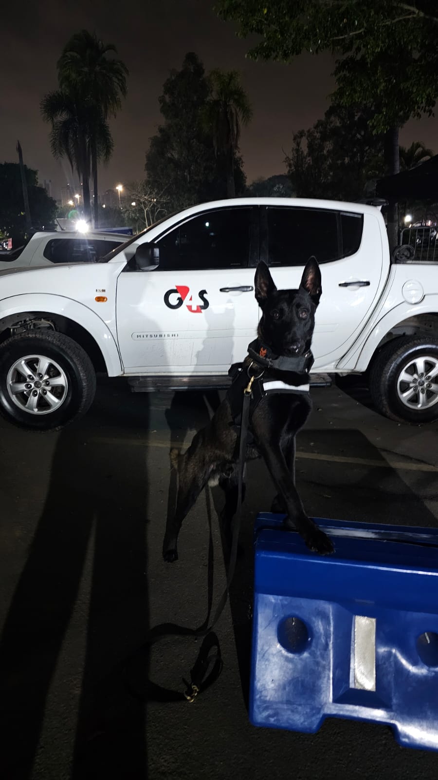 Treino de Guarda Residencial
