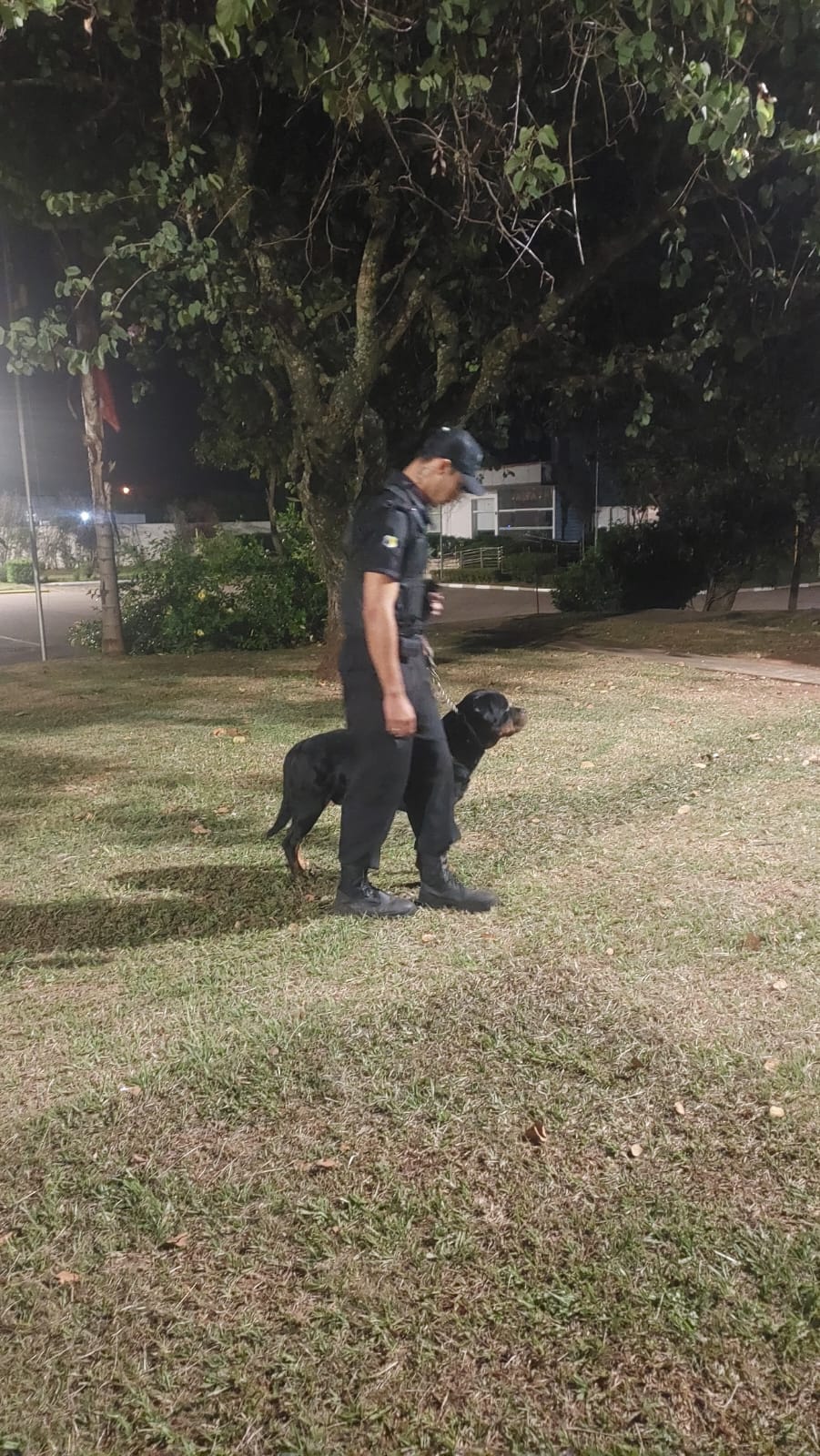 Binômio Homem-Cão PRODOG