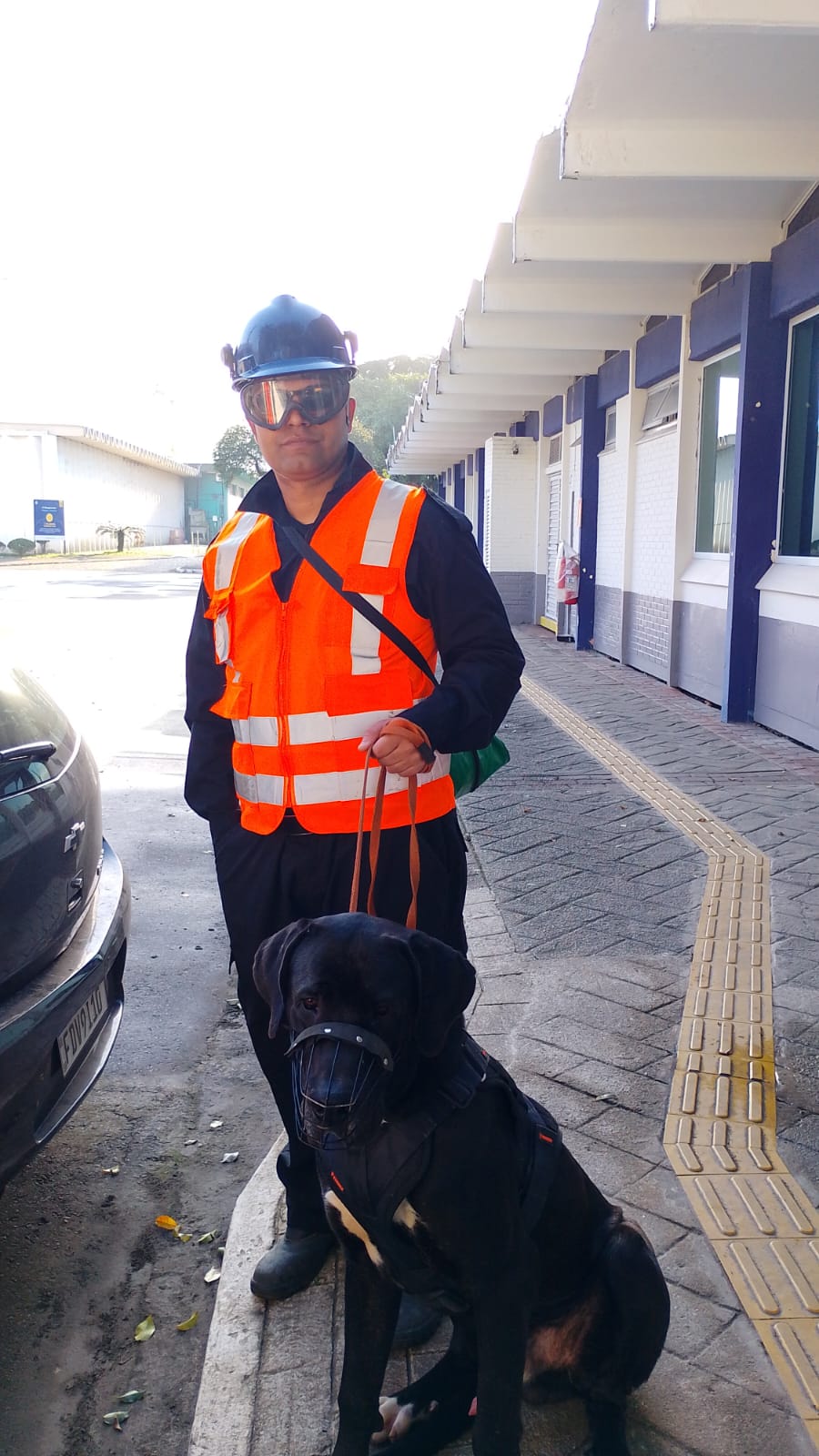 Doberman de Alta Performance