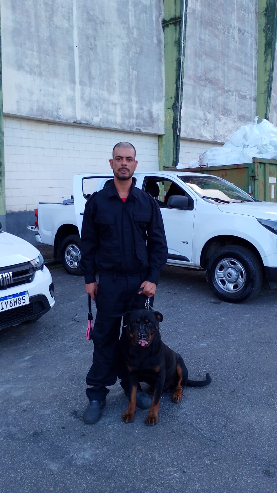 aluguel de cachorro de guarda em cubatão