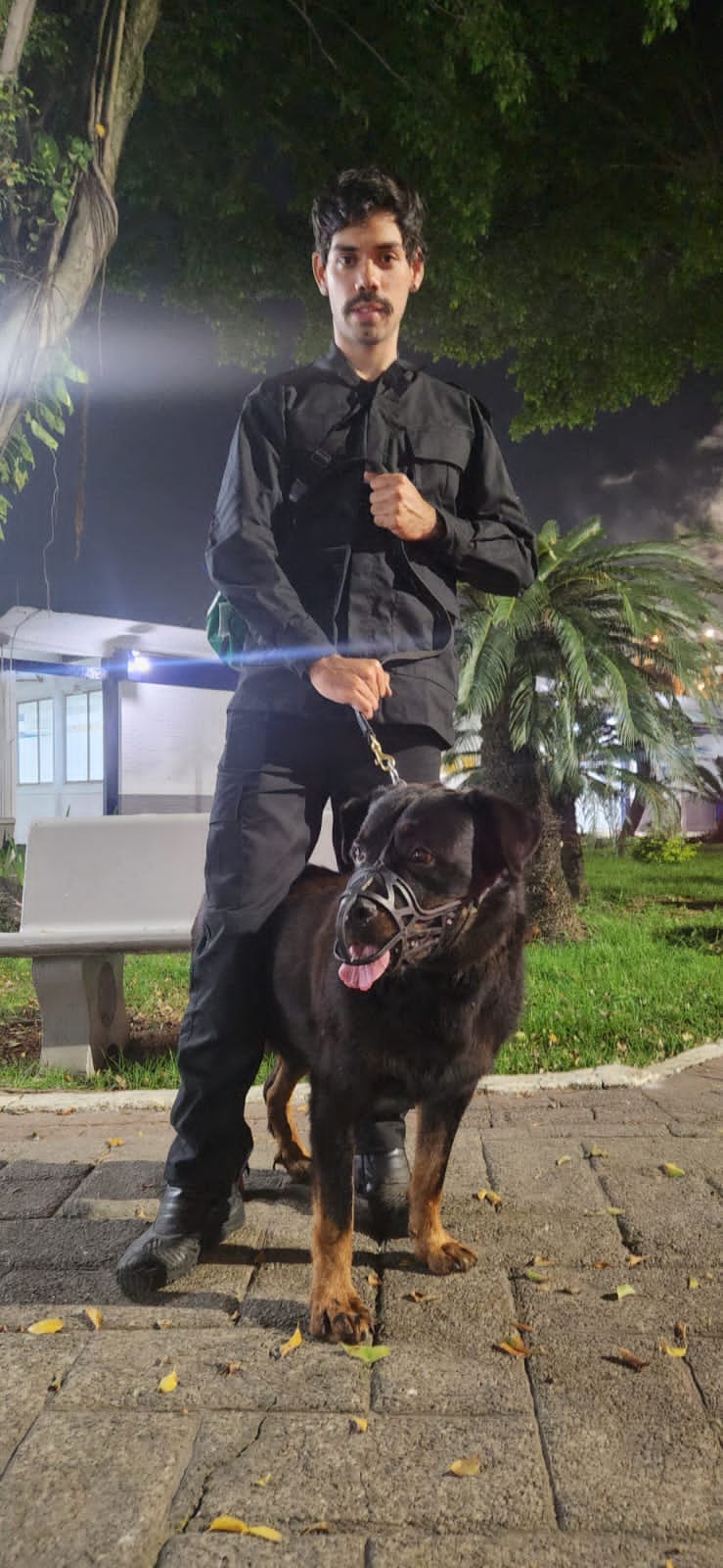 aluguel de cachorro em cubatão