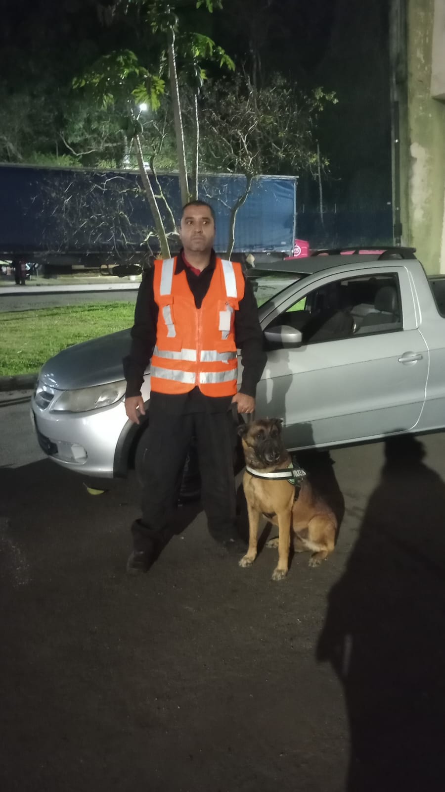aluguel de cães em Campinas