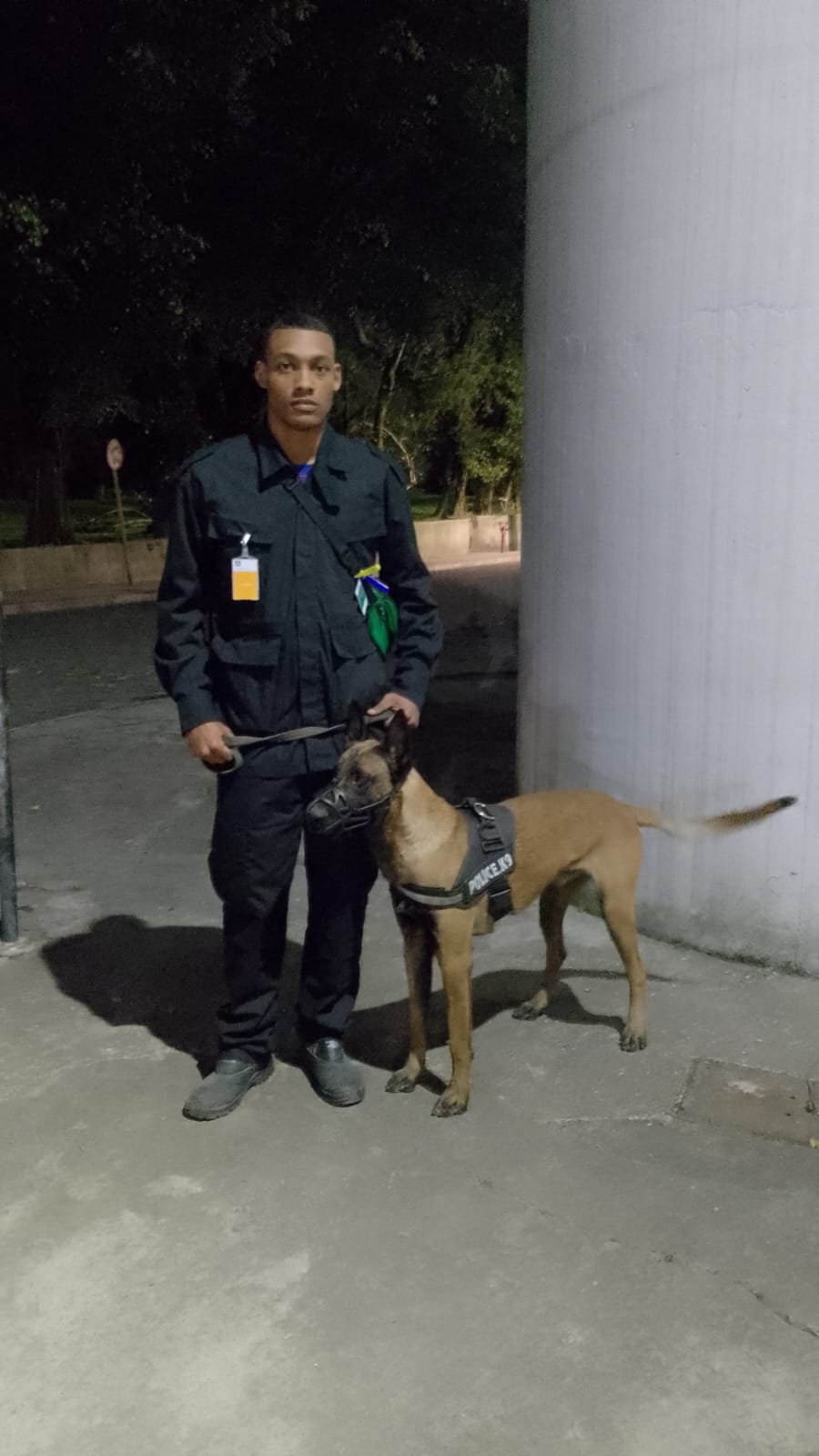 aluguel de cães em Limeira