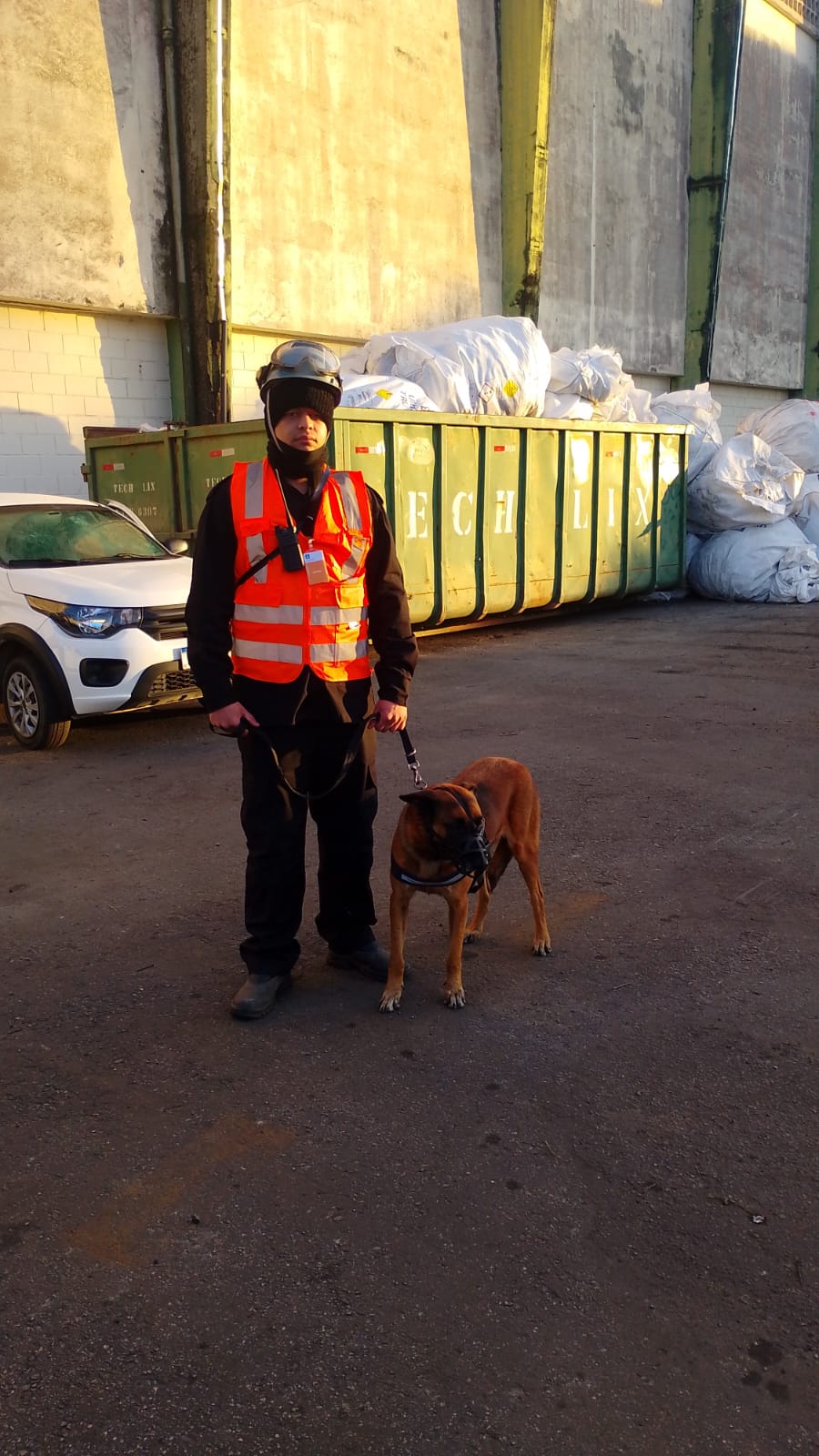 aluguel de cães na zona leste