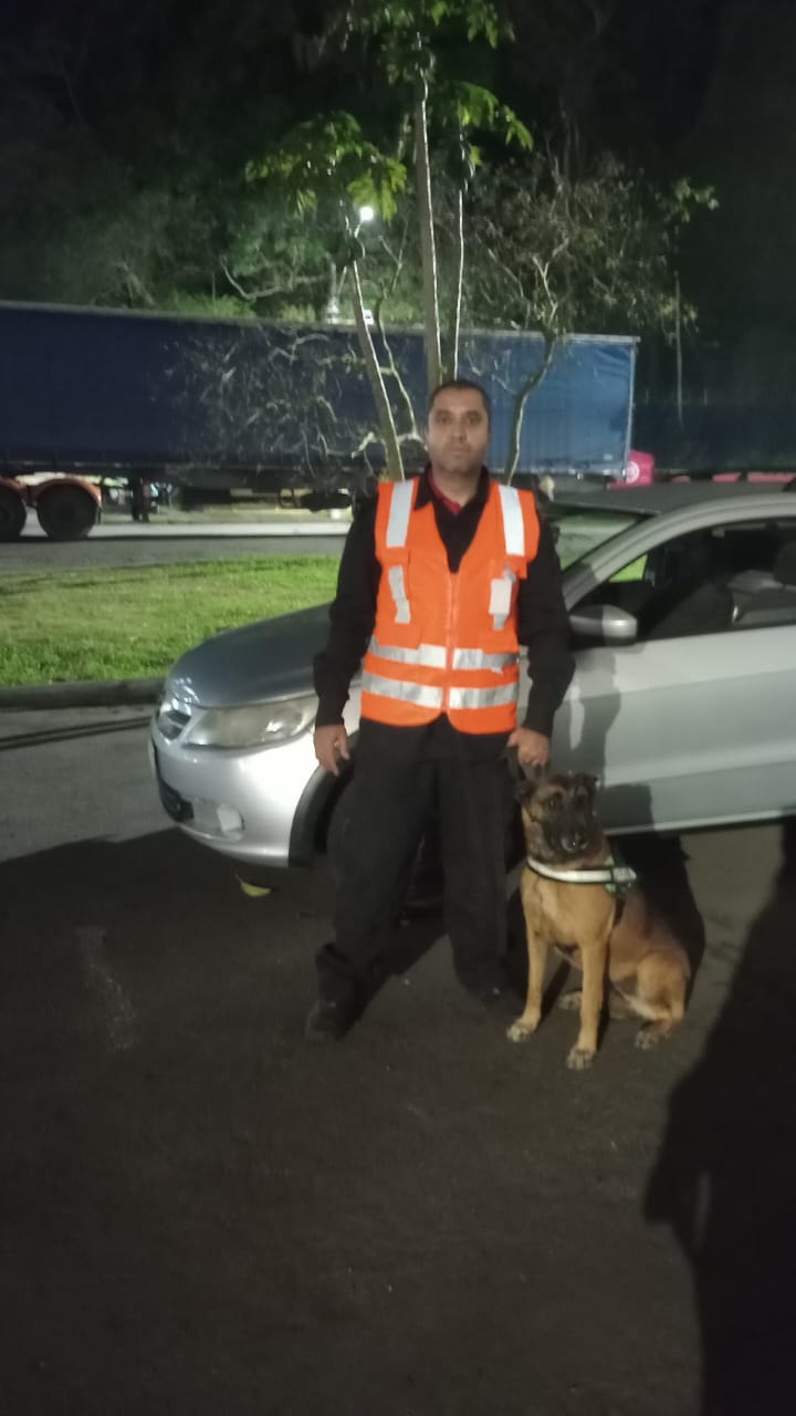 aluguel de cães no RJ