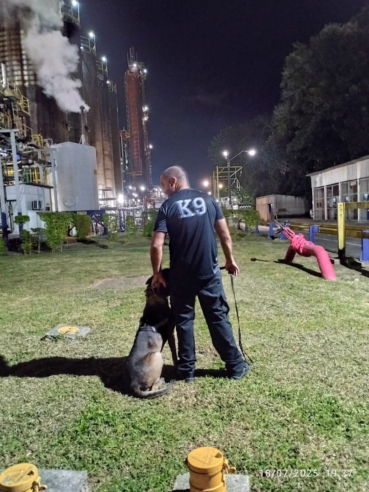 aluguel de cães para empresas