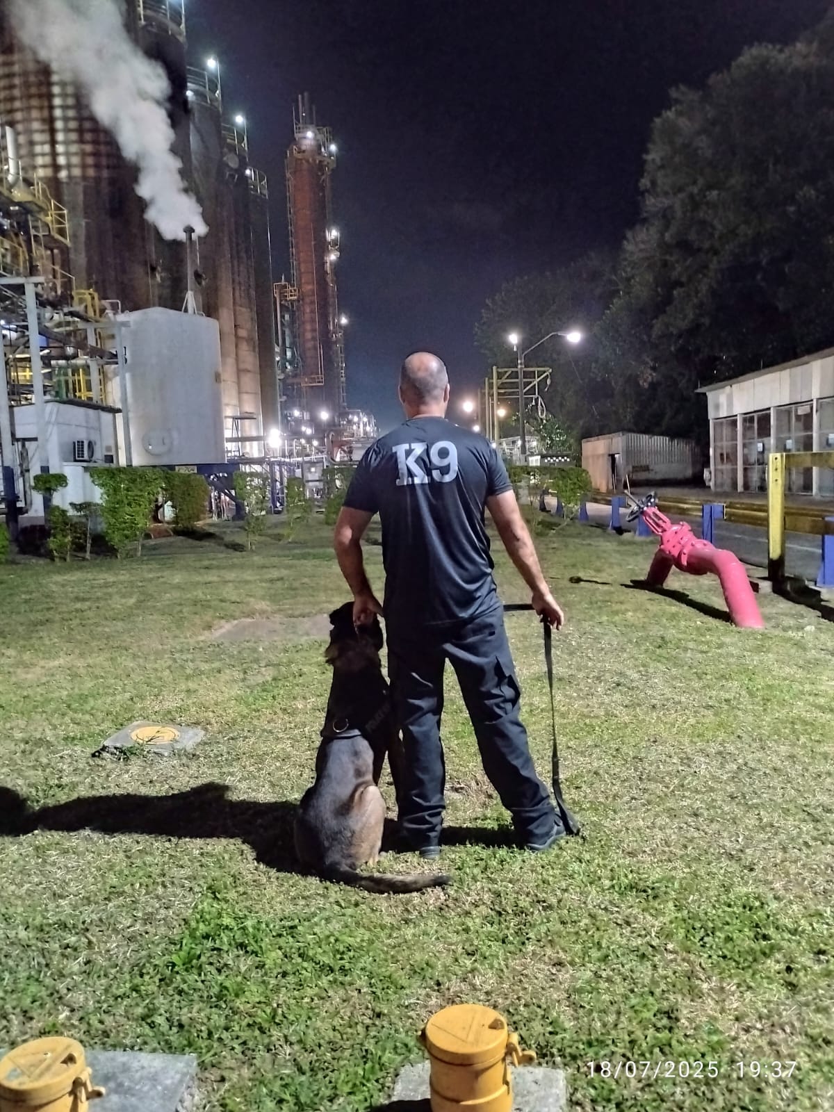 aluguel de cães para galpões