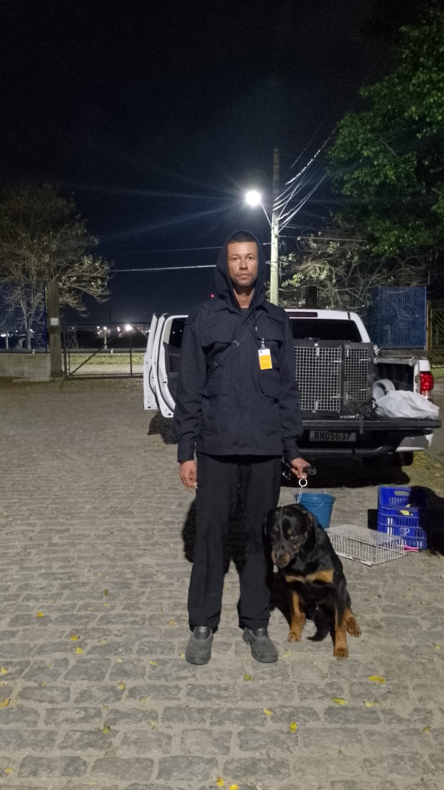 aluguel de cães para porto de santos