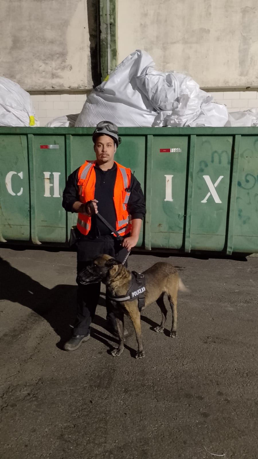 locação de cachorro em Valinhos