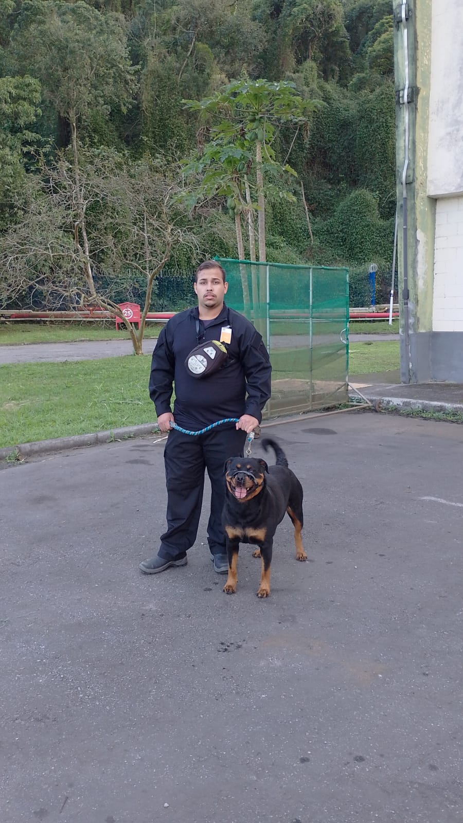 locação de cachorro na zona leste