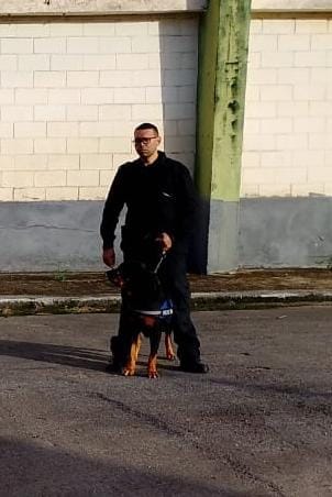 locação de cachorro no RJ