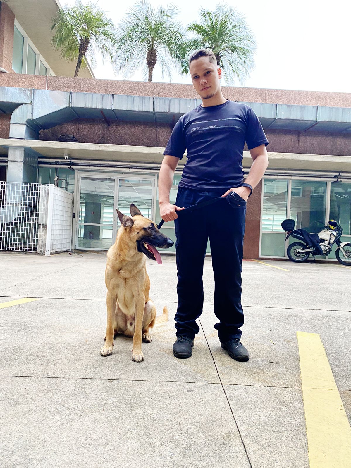 locação de cachorro para galpões