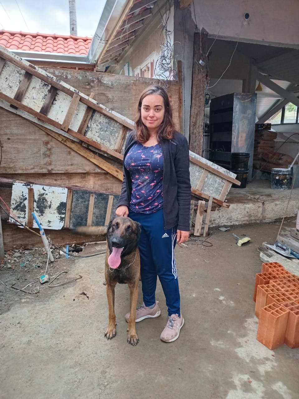 locação de cães adestrados para porto de santos
