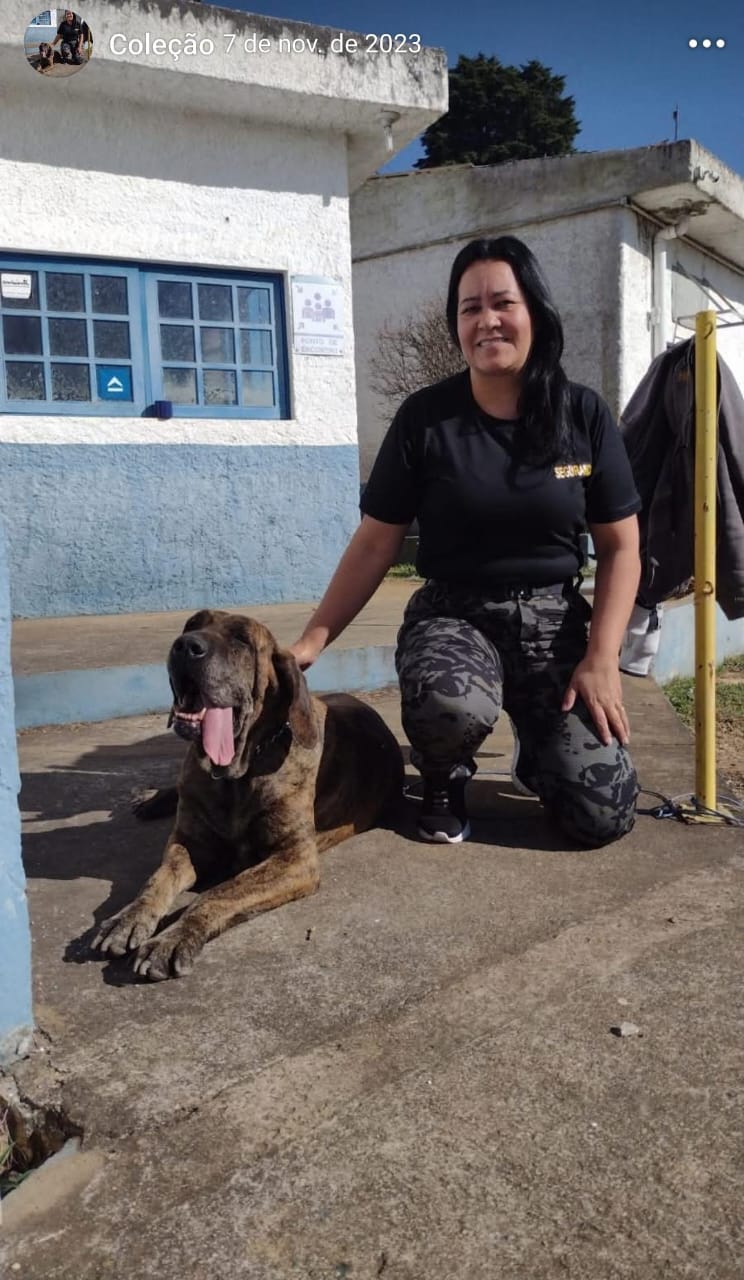 locação de cães em Campinas