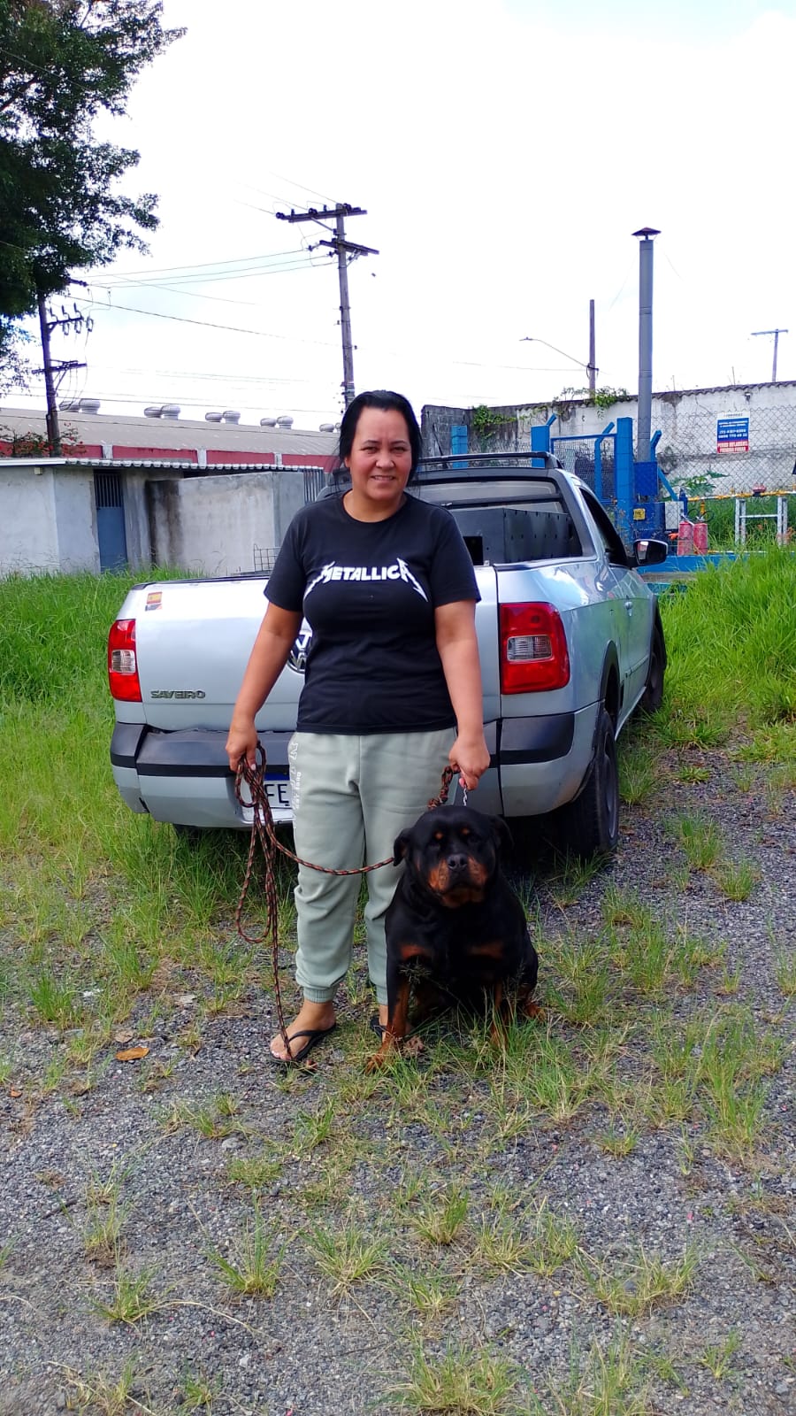 locação de cães em Guarulhos