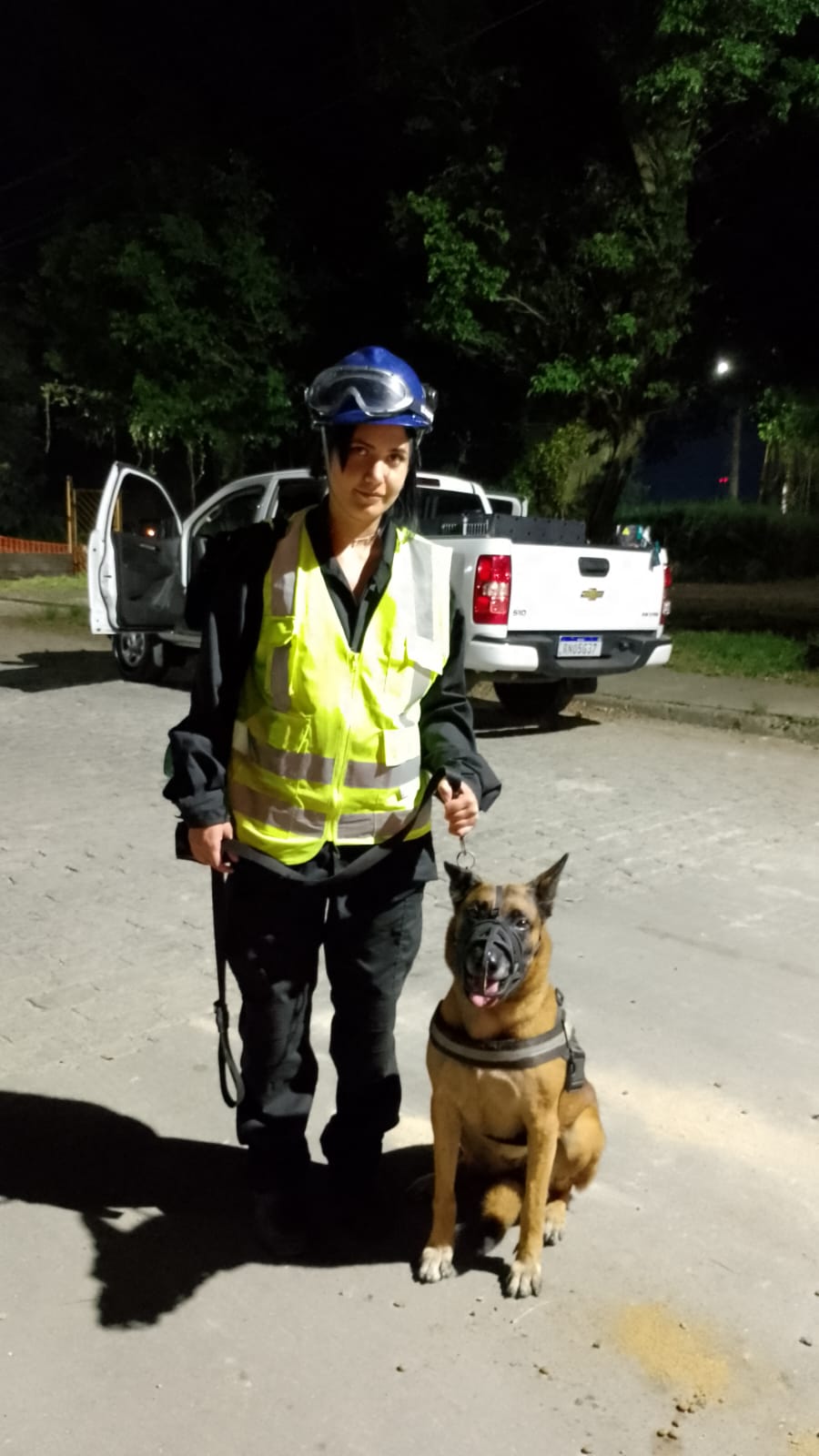locação de cães em Sorocaba