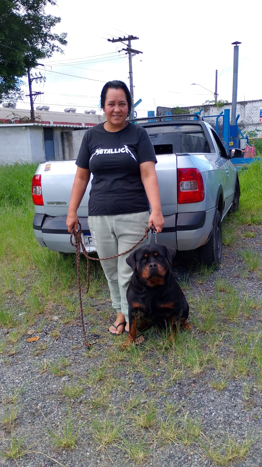 locação de cães em Valinhos