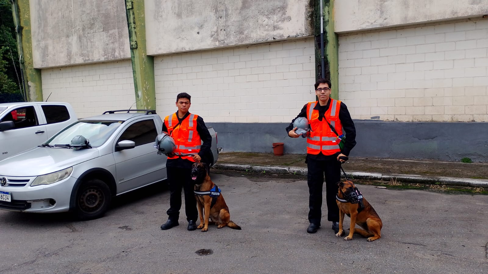 locação de cães farejadores em SP
