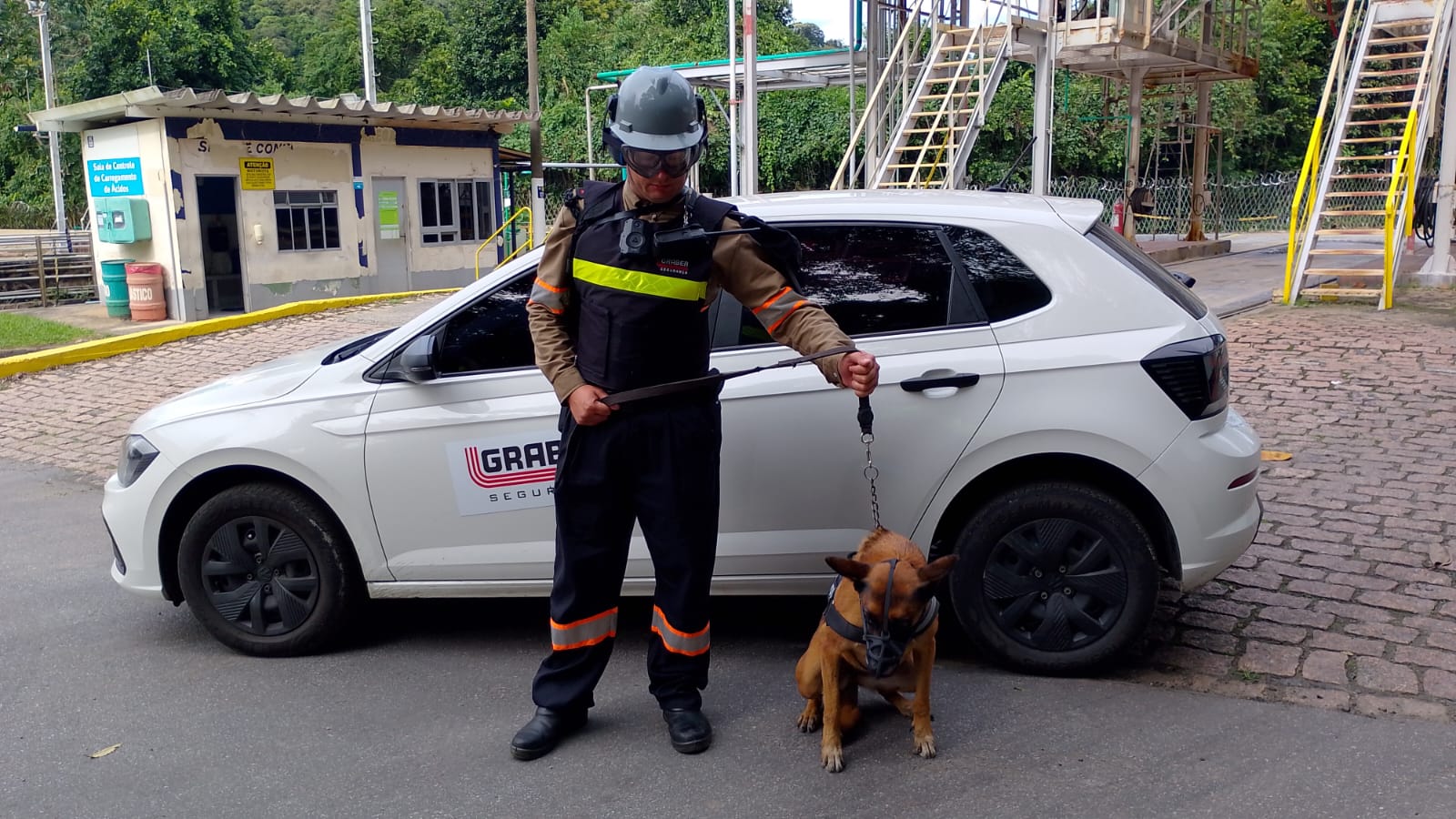 locação de cães farejadores na zona sul