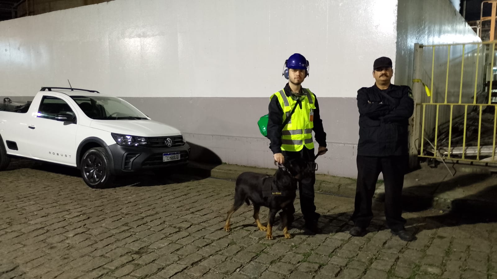 locação de cães para aeroportos