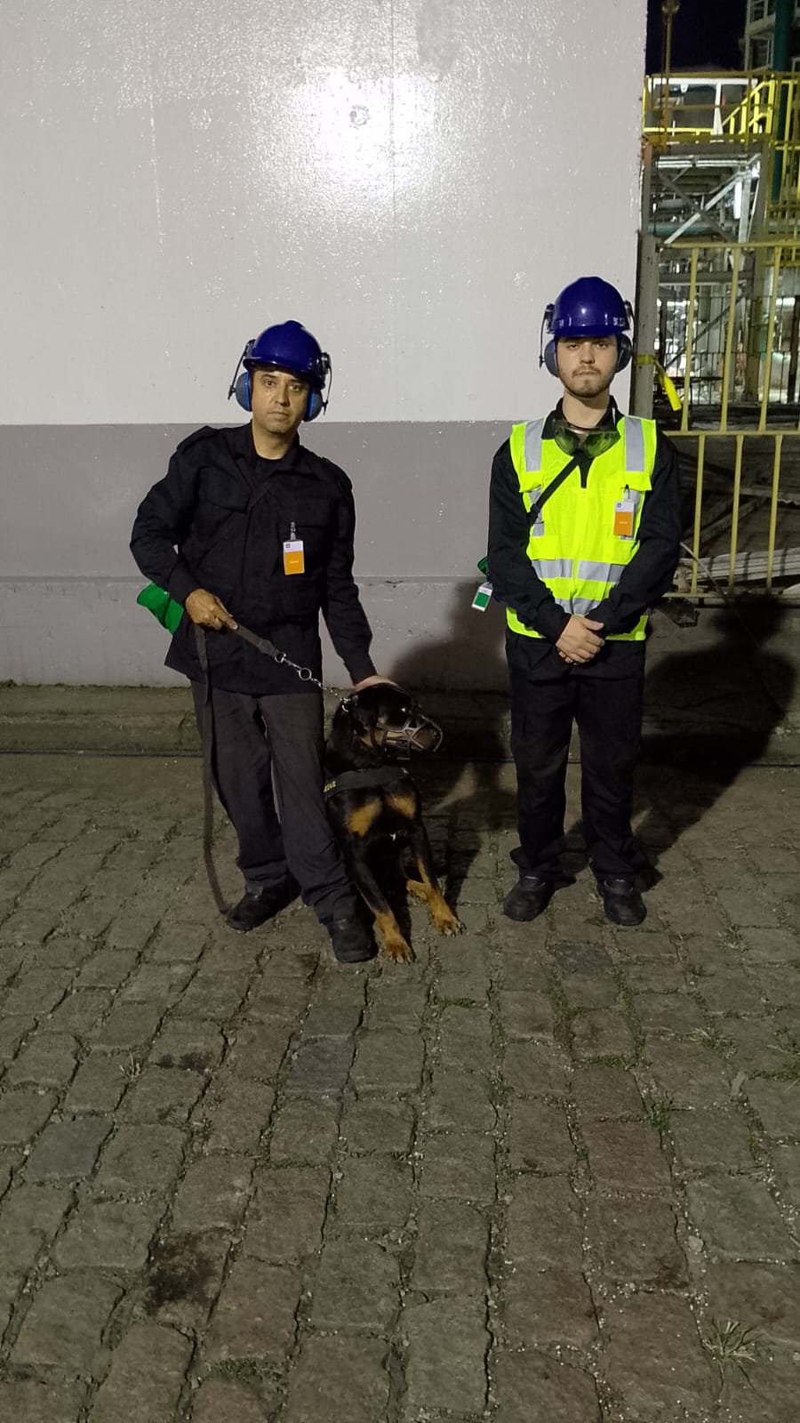 locação de cães para farejar drogas para empresas
