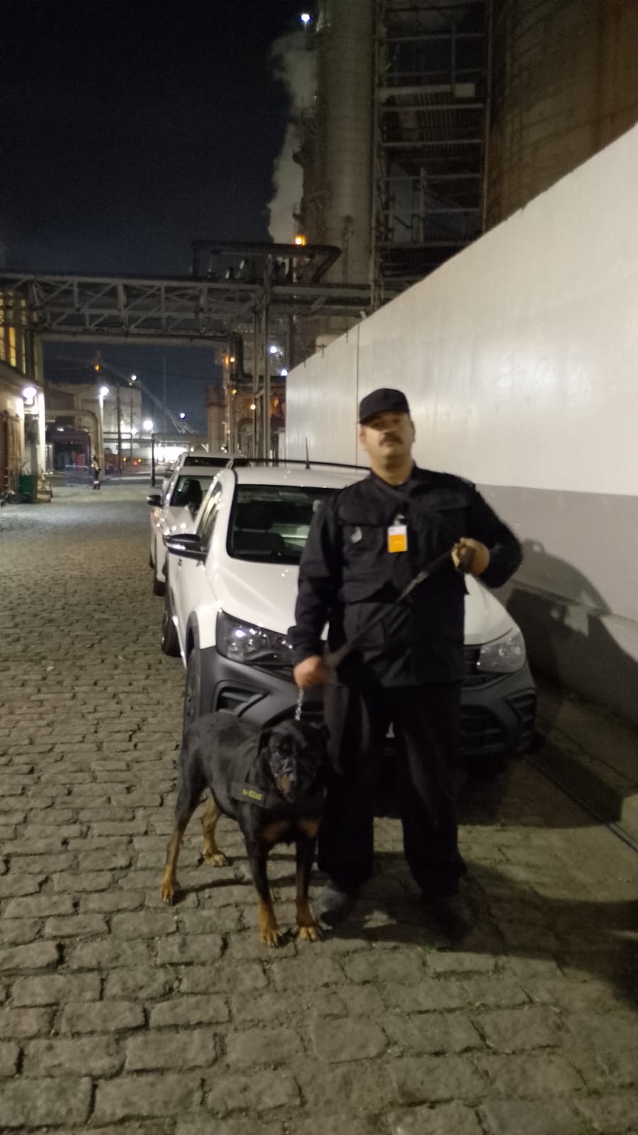 locação de cães para farejar drogas para galpões