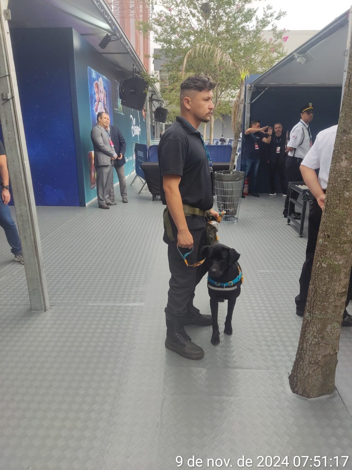 locação de cães para galpões