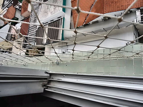 Redes de Proteção Zona Leste