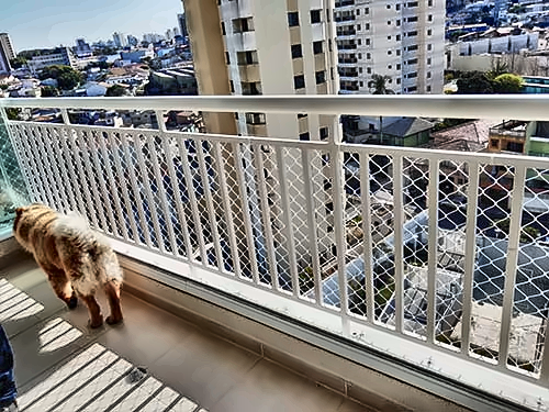 Telas de proteção em Moema