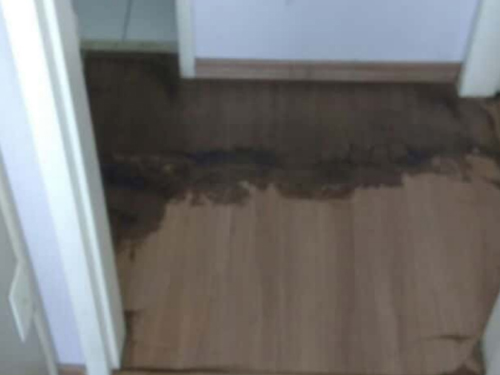 Limpeza de Piso Laminado no ABC