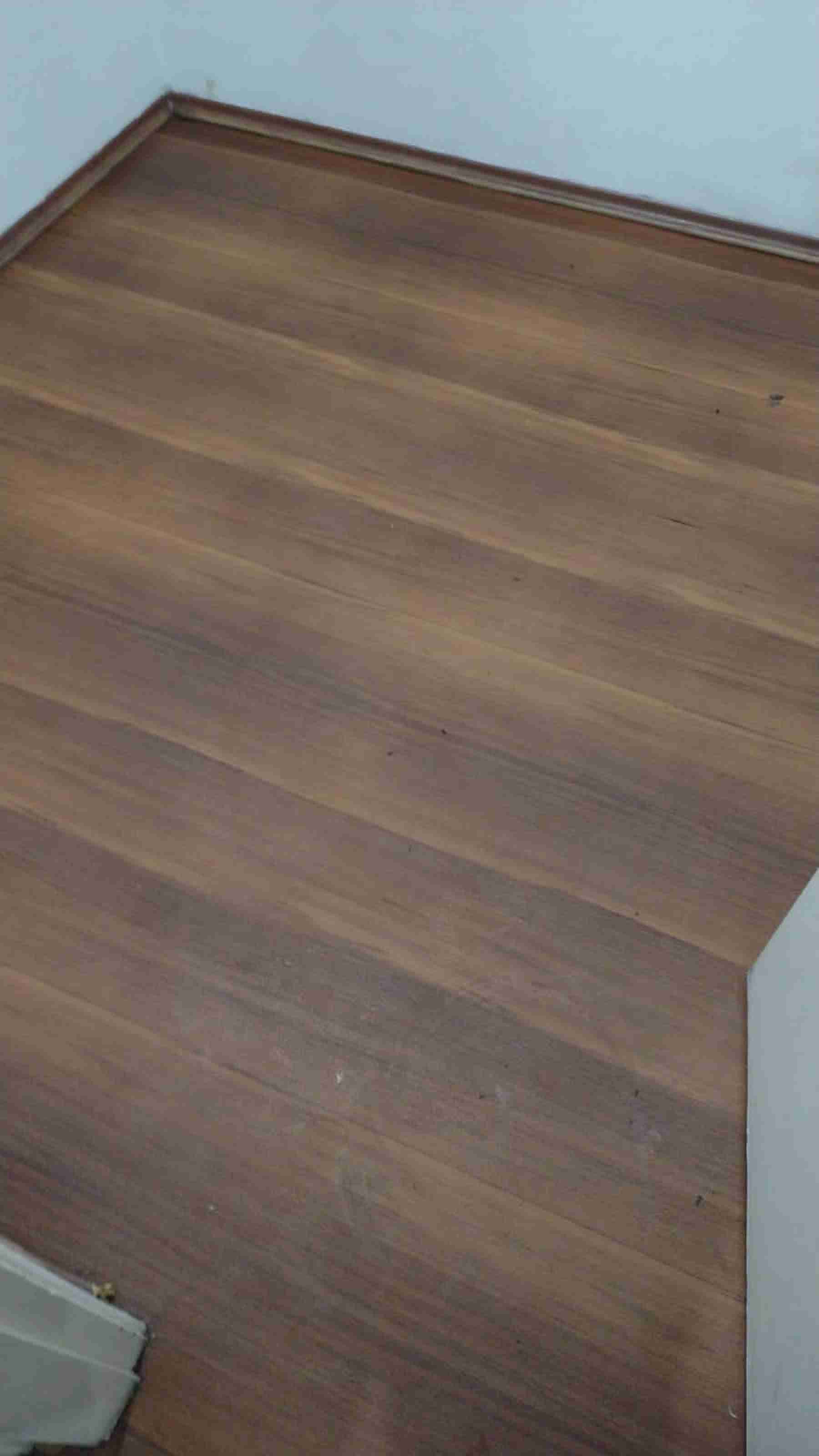 Manutenção em Carpete de Madeira Imagem