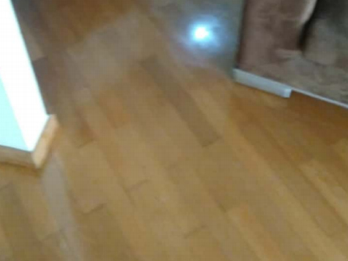 Preço Da Raspagem de Taco M2 Imagem