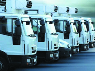 Armazéns Transporte Câmaras Frias Sementes SP