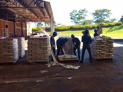 Operações Logística In House Guarulhos