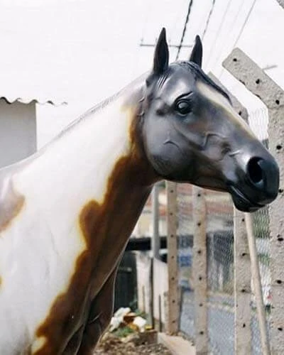 Trabalho do Escutor Pedro Cesar