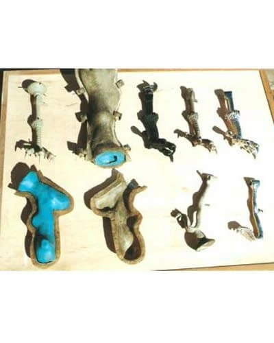 Trabalho do Escutor Pedro Cesar