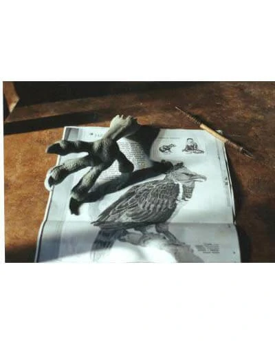 Trabalho do Escutor Pedro Cesar