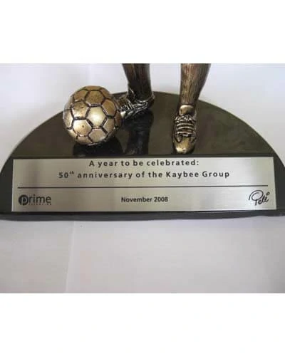 Trabalho do Escutor Pedro Cesar