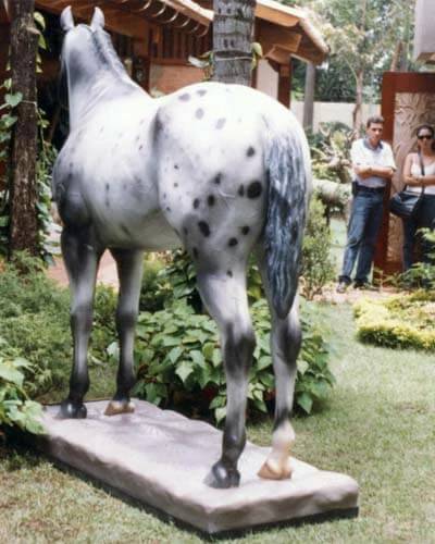 Trabalho do Escutor Pedro Cesar