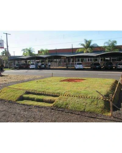 Trabalho do Escutor Pedro Cesar