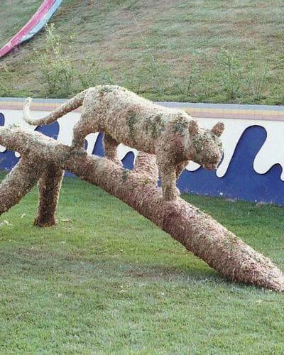 Trabalho do Escutor Pedro Cesar