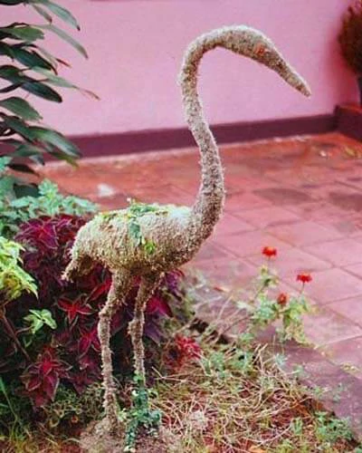 Trabalho do Escutor Pedro Cesar