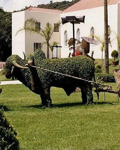 Trabalho do Escutor Pedro Cesar