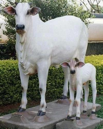 Trabalho do Escutor Pedro Cesar