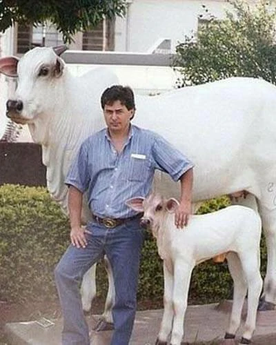 Trabalho do Escutor Pedro Cesar