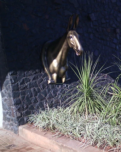 Trabalho do Escutor Pedro Cesar