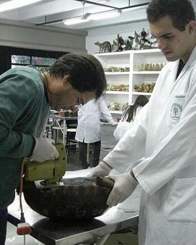 Trabalho do Escutor Pedro Cesar