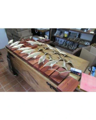 Trabalho do Escutor Pedro Cesar